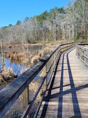 Boyd Pond Park