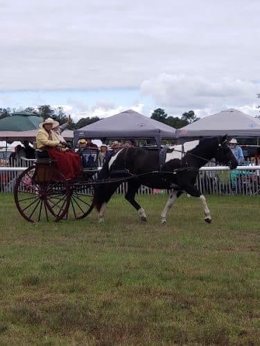 Bruce's Field at Aiken Horse Park