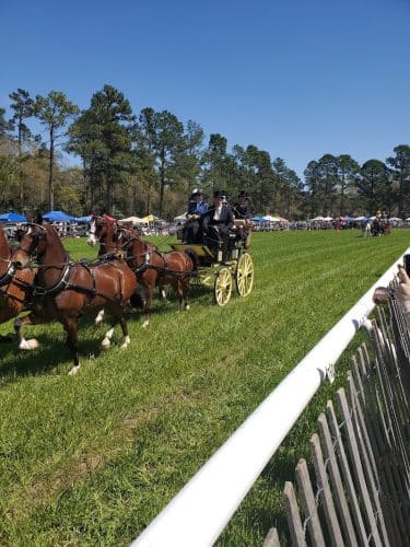 Bruce's Field at Aiken Horse Park