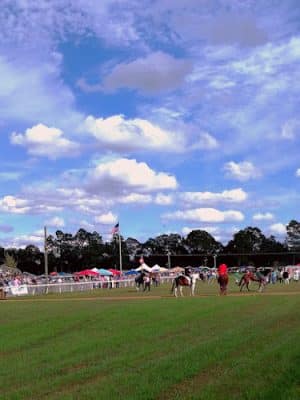 Bruce's Field at Aiken Horse Park