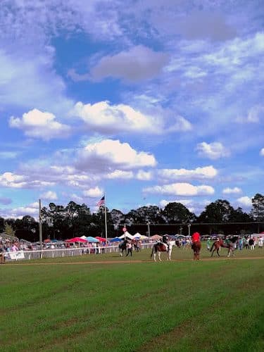 Bruce's Field at Aiken Horse Park