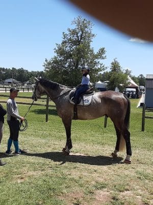 Bruce's Field at Aiken Horse Park