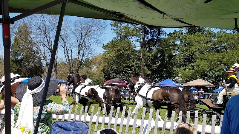 Bruce's Field at Aiken Horse Park - Aiken, SC