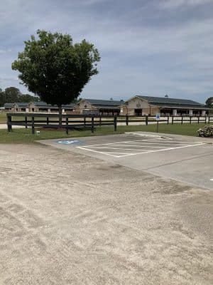 Bruce's Field at Aiken Horse Park