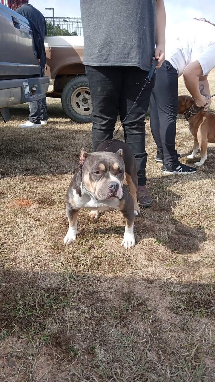 Generations Park - Aiken, SC