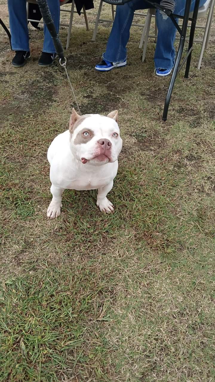 Generations Park - Aiken, SC