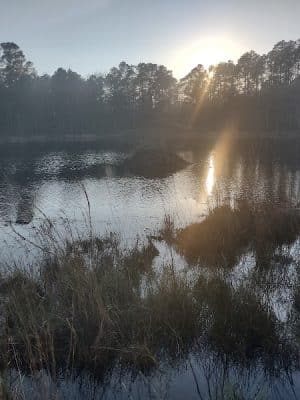 Henderson Heritage Preserve