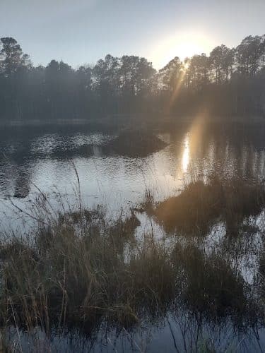 Henderson Heritage Preserve