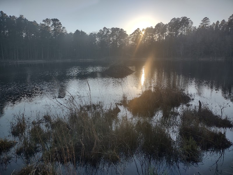 Henderson Heritage Preserve - Aiken, SC