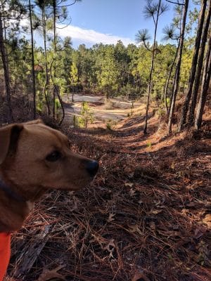 Henderson Heritage Preserve