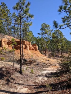 Henderson Heritage Preserve