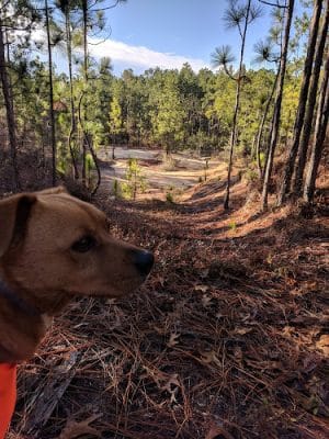 Henderson Heritage Preserve