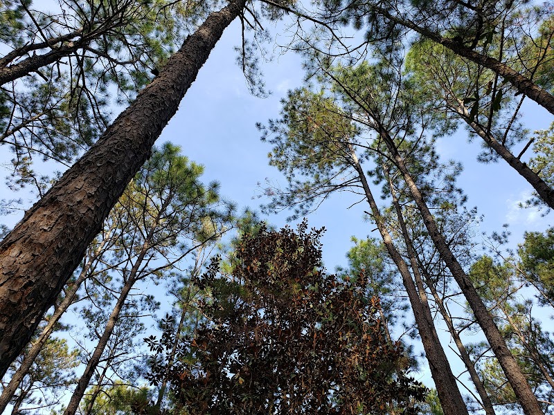 Henderson Heritage Preserve - Aiken, SC