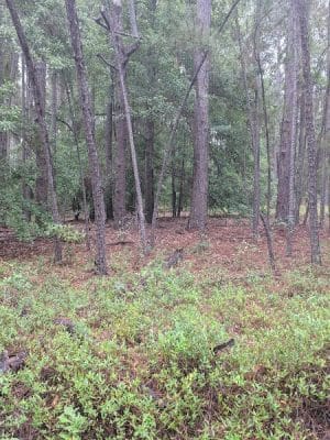Henderson Heritage Preserve