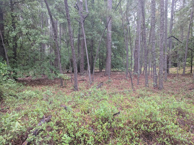 Henderson Heritage Preserve - Aiken, SC
