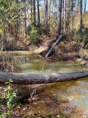 Henderson Heritage Preserve