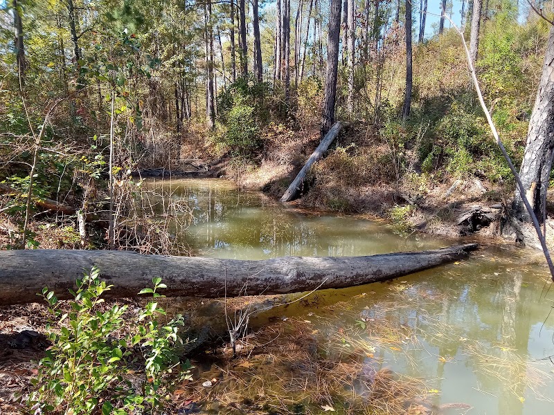 Henderson Heritage Preserve - Aiken, SC