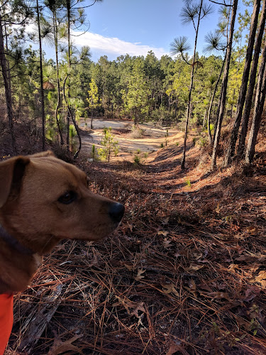 Henderson Heritage Preserve