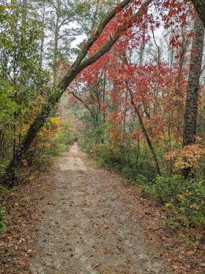 Hitchcock Woods