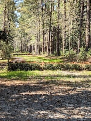 Hitchcock Woods