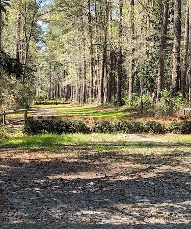 Hitchcock Woods