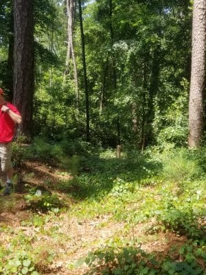 Hitchcock Woods