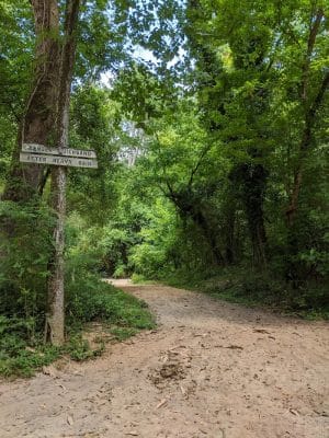Hitchcock Woods