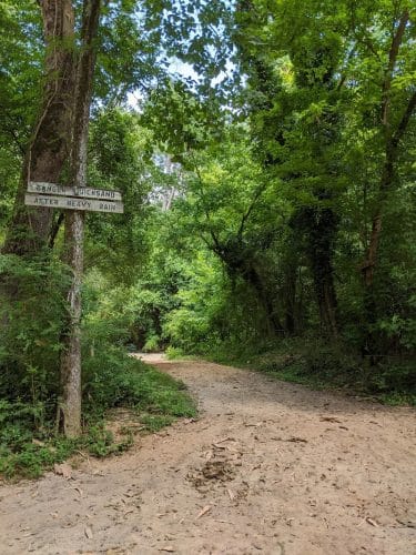 Hitchcock Woods