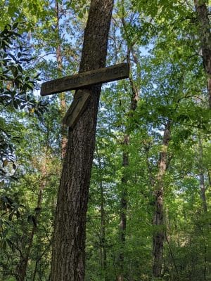 Hitchcock Woods: Clark Road Entrance
