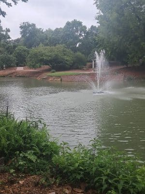 Hopelands Gardens