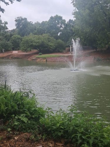 Hopelands Gardens