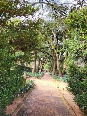 Hopelands Gardens