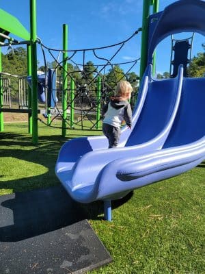 Kalmia Hill Park