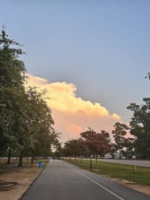 Virginia Acres Park