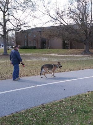 Virginia Acres Park
