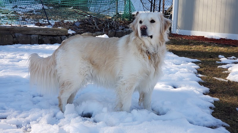 Dog Park - Airmont, NY