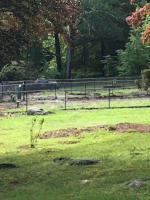 Dog Park