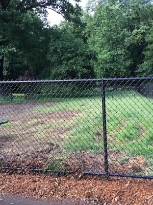 Dog Park