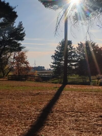 Akron Park - Akron,