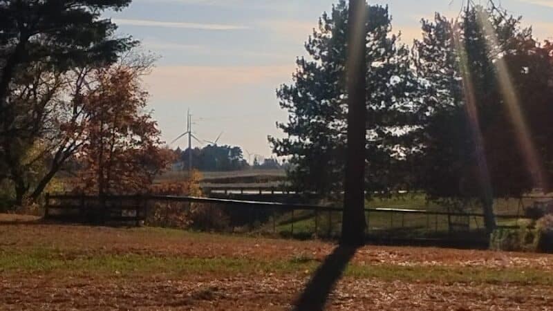 Akron Park - Akron,