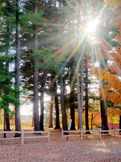 Akron Park - Akron,