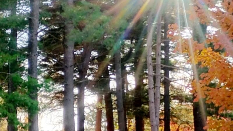 Akron Park - Akron,