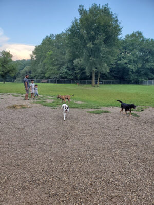 BARC - Akron Dog Park
