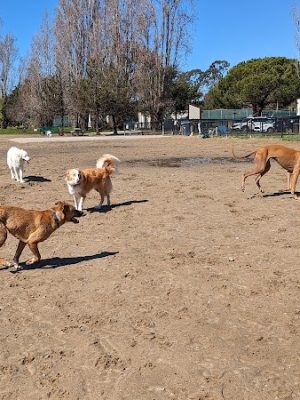 Alameda Dog Park
