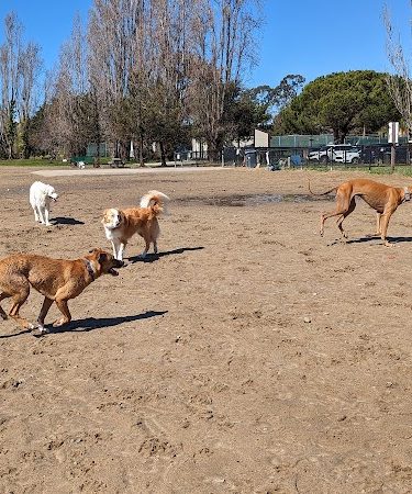 Alameda Dog Park