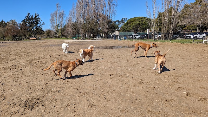 Alameda Dog Park - Alameda, CA