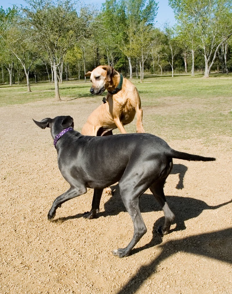 Alameda Dog Park - Alameda, CA