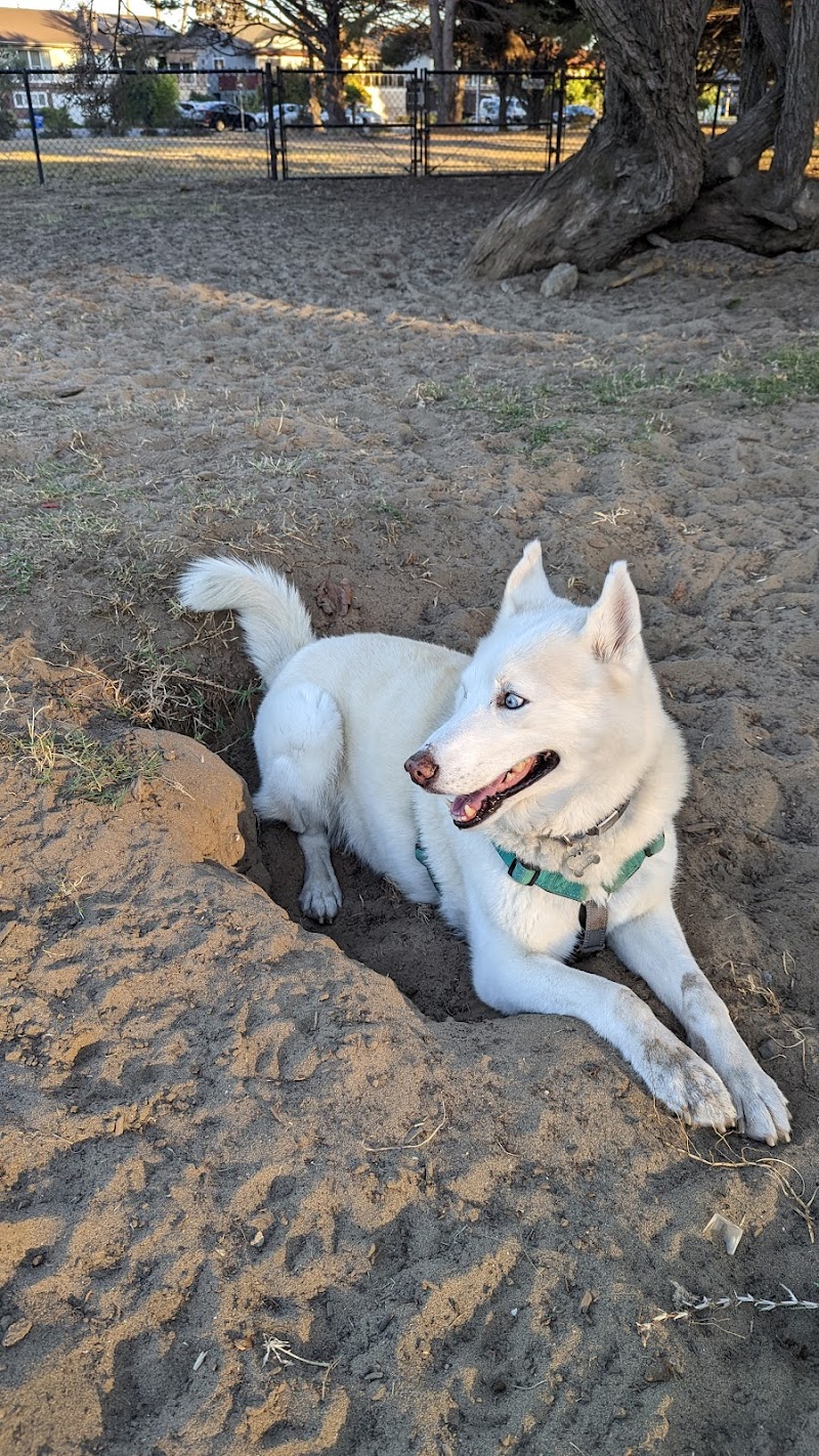 Alameda Dog Park - Alameda, CA