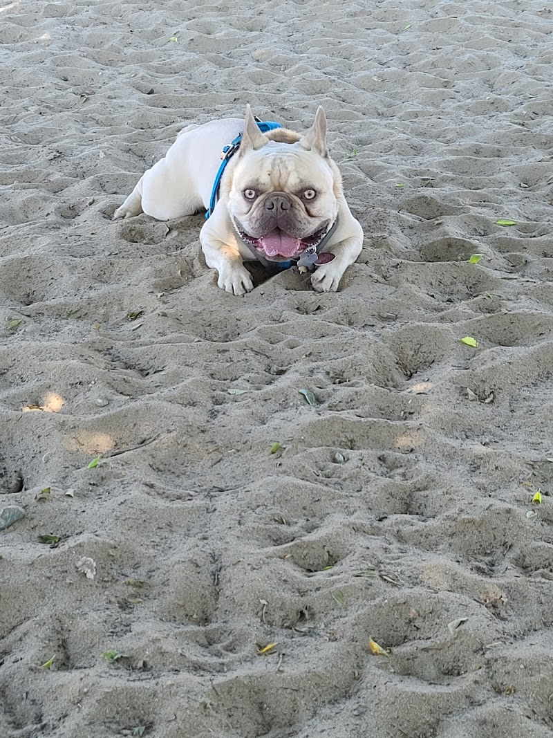 Alameda Dog Park - Alameda, CA