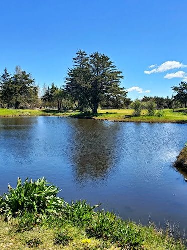 Crab Cove Duck Pond